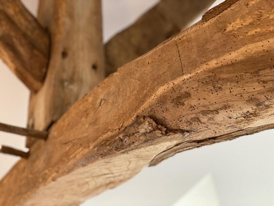 Le Domaine D'Angerville - Chambres D'Hotes 客房 照片